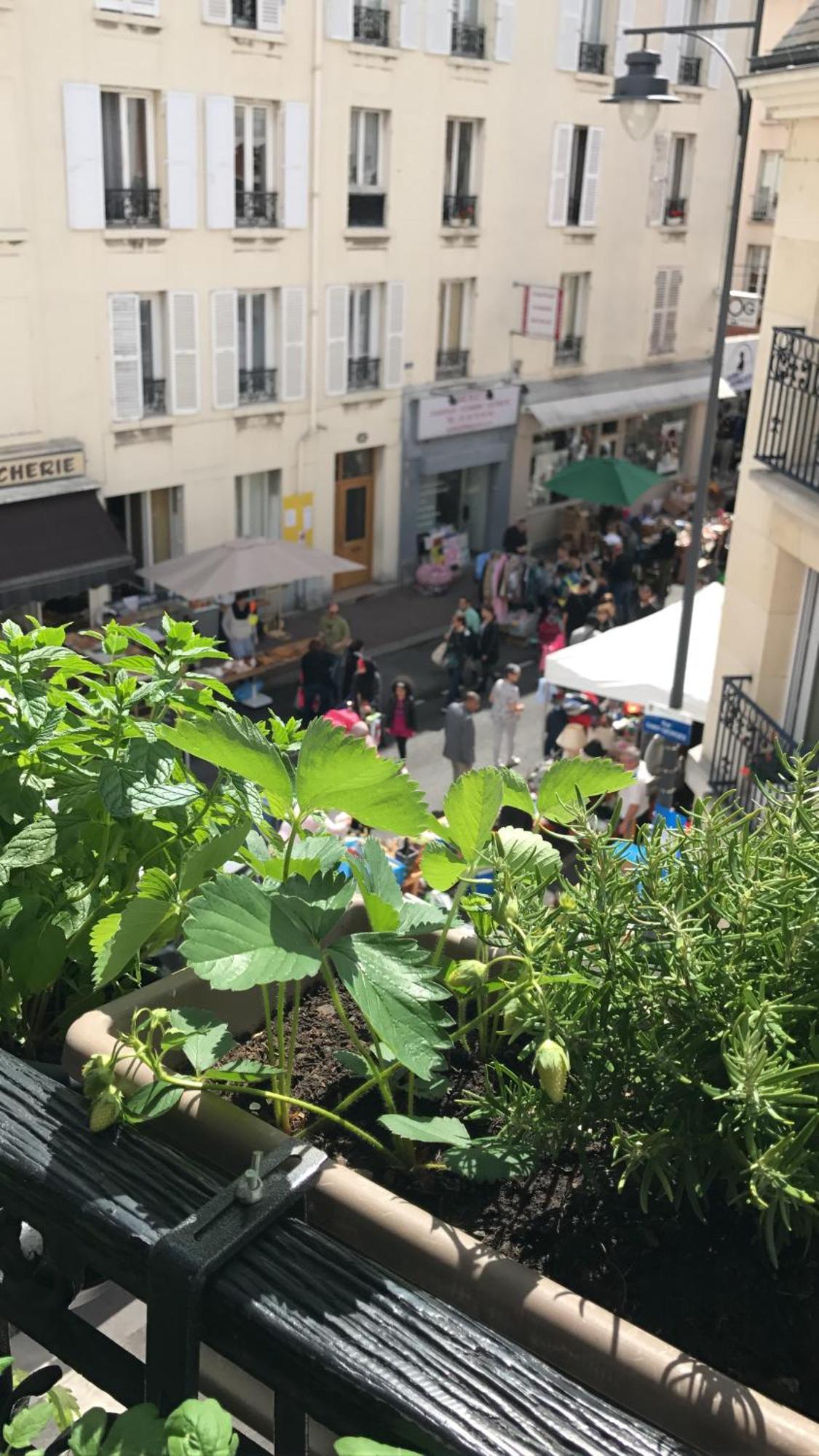 F2 Cosy Aux Portes De Paris - 6 Min De Rer De Paris Gare De Lyon Apartment Maisons-Alfort